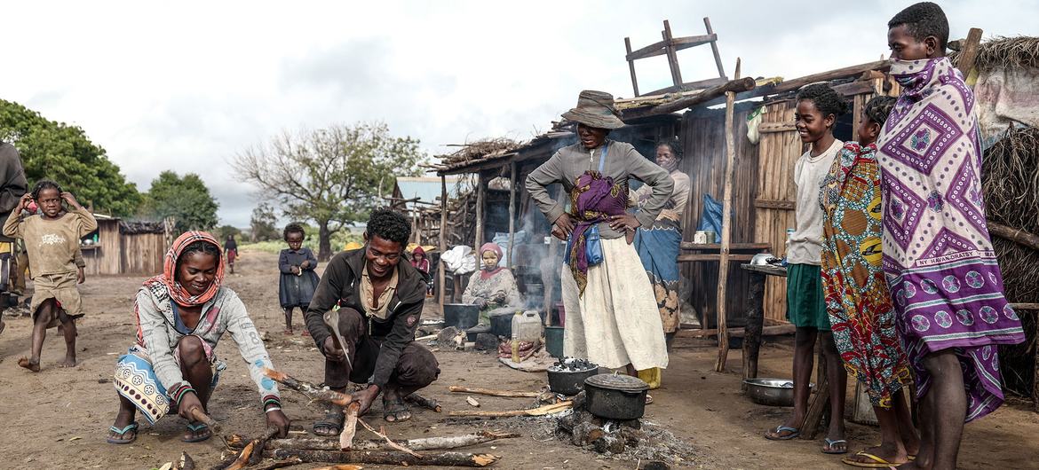 Merchants cut firewood at a market in Ambovombe in Madagascar. (Joint SDG Fund)