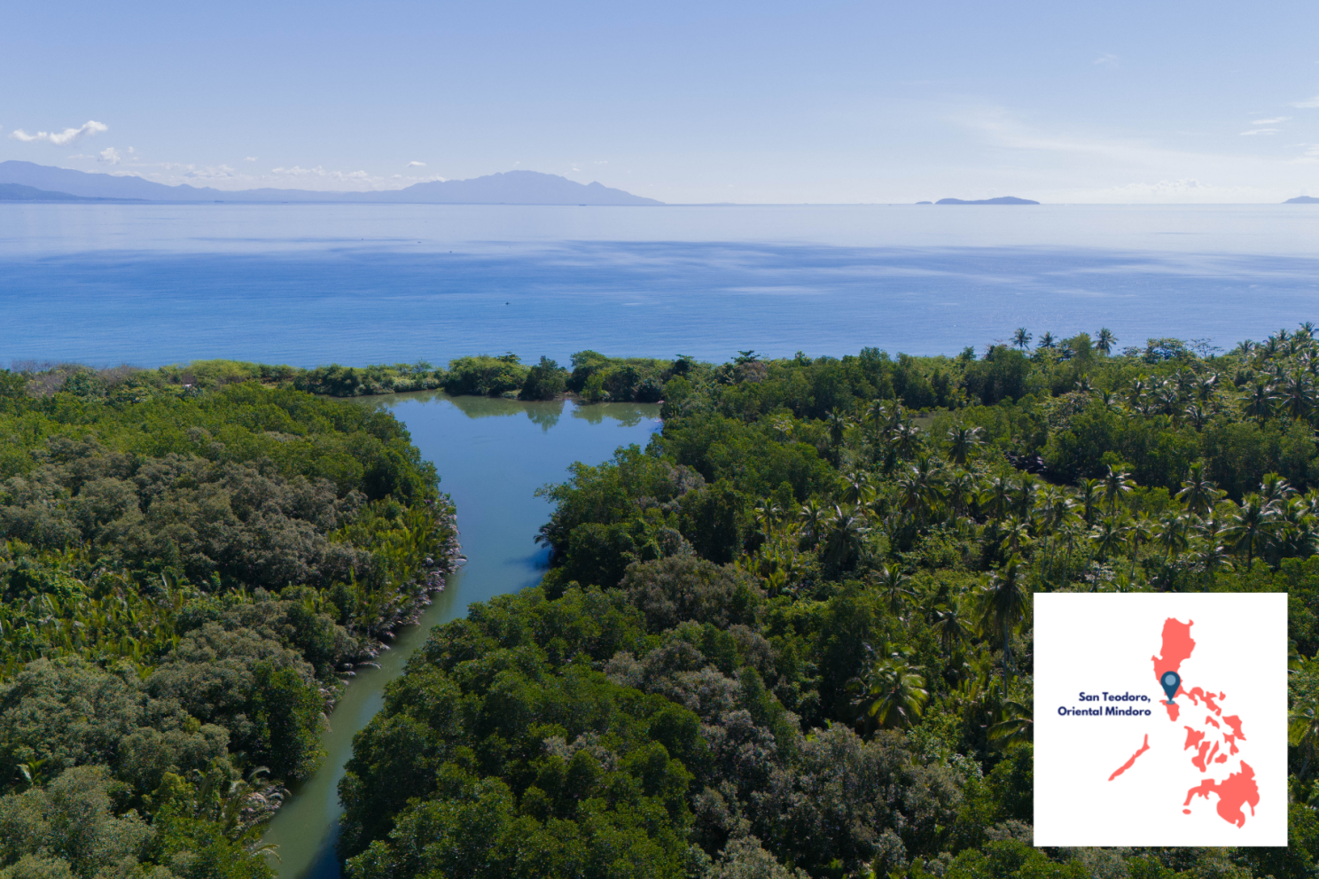 Mangrove forest of San Teodoro in Oriental Mindoro Province, Philippines